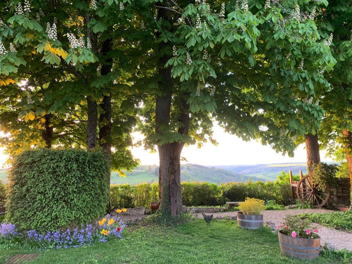 フラヴィニー・シュル・オズラン La Flavignienne Bed & Breakfast エクステリア 写真