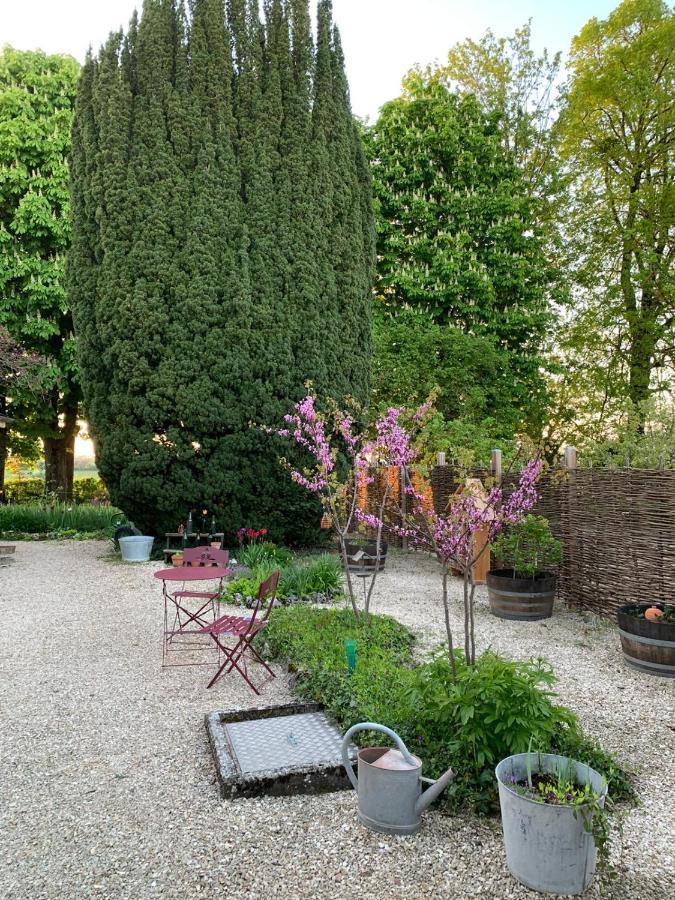 フラヴィニー・シュル・オズラン La Flavignienne Bed & Breakfast エクステリア 写真